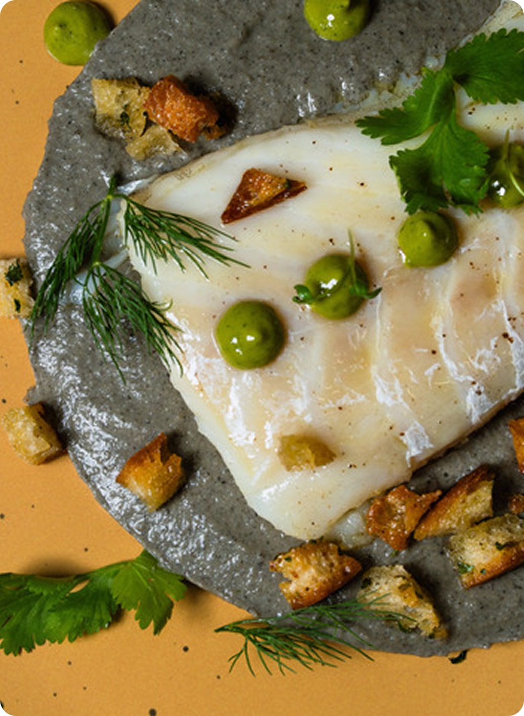 Restaurant Italien Vich Plat Paccheri Farci Sauce Noix (2) Min